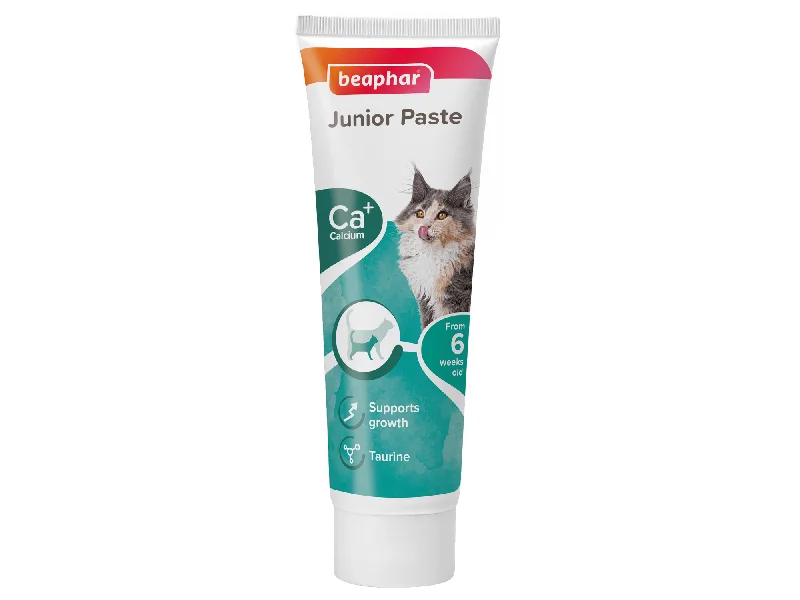 - Parrot climbing and standing wooden frameJunior Paste - Cat / 100 g