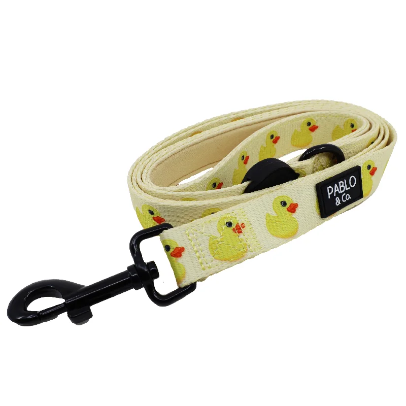 - Pregnant cat delivery room warming boxRubber Ducky: Dog Leash