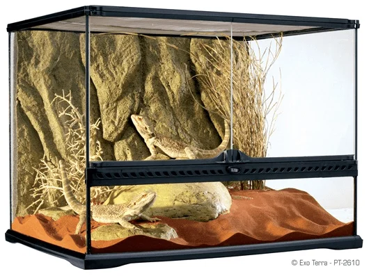 - Cat anti-jump window safety netExo Terra Natural Terrarium Medium/Wide 60 x 45 x 45cm