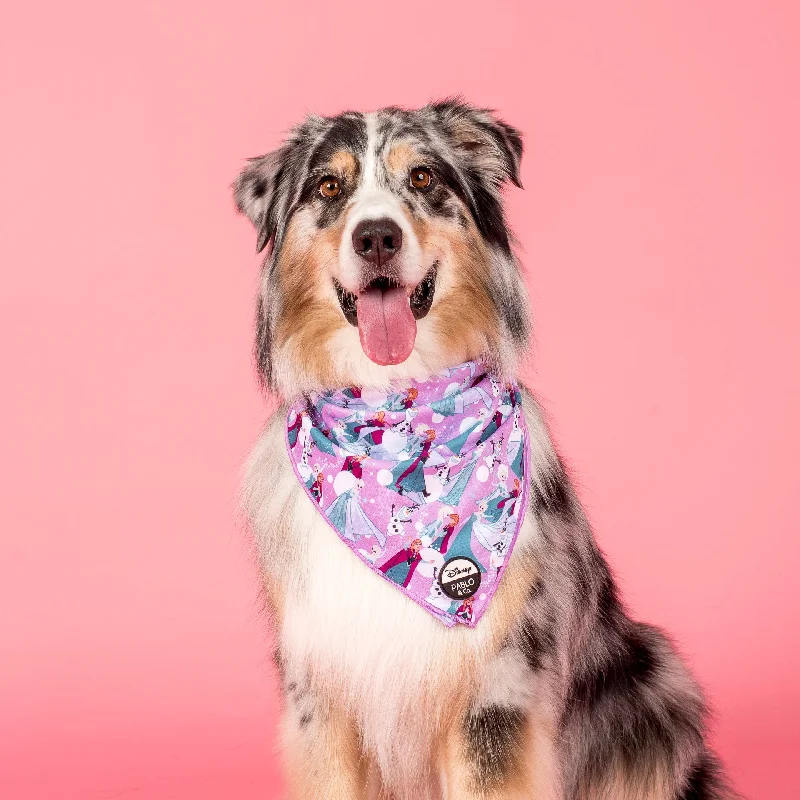 - Rabbit grass rack to prevent waste food boxFrozen: Dog Bandana