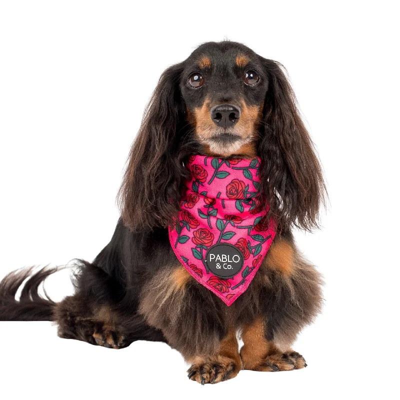 - Pet smart GPS locatorRosie - Dog Bandana