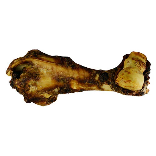  -Non-contact cat thermometerDINO BONES (BEEF BONE)