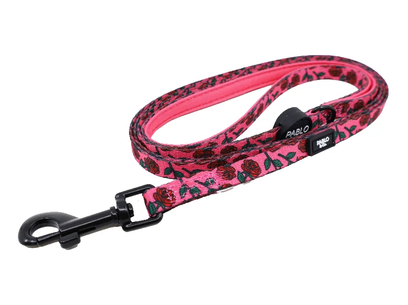 - Pet fence foldable indoorRosie: Cat Leash