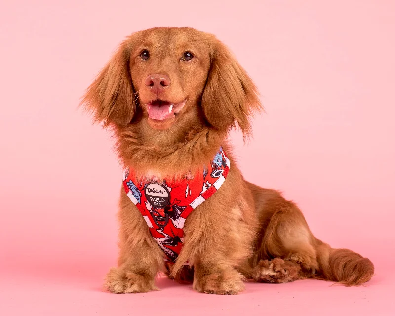  -Explosion-proof leash FOR LARGE dogsDr. Seuss' The Cat in the Hat: Adjustable Harness